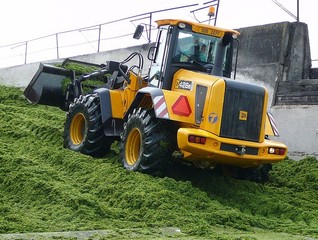 JCB 426 AGRI HL